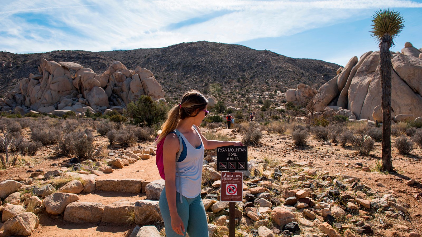 The Ryan Mountain trail climbing through open desert