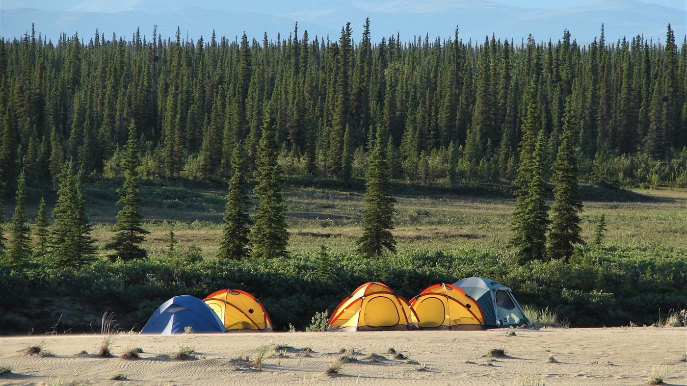 Five tents pitched on the Kobuk sand dunes near forest and mountains