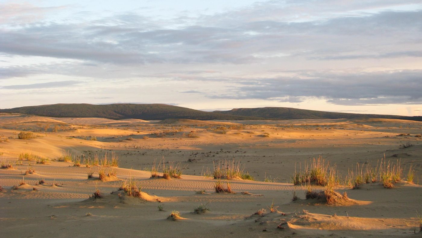 Evening light on the Great Kobuk Sand Dunes and distant mountains