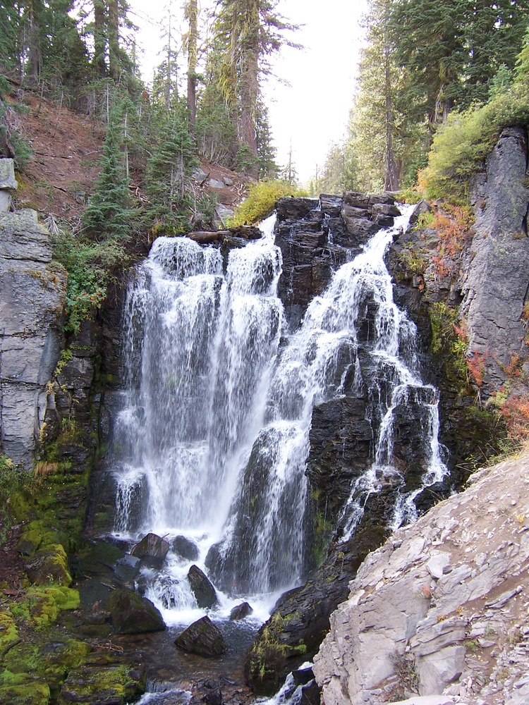 Kings Creek Falls dropping through forest