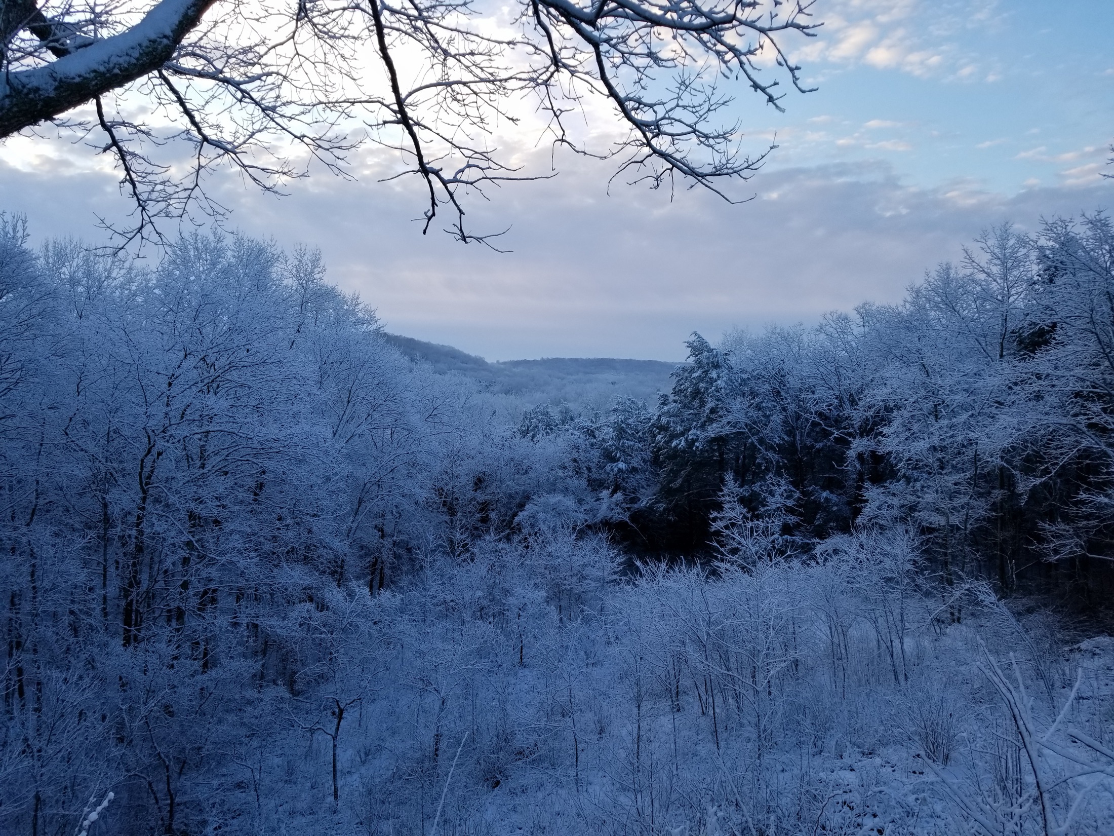 A snow- and frost-covered hardwood forest stretching across the rolling hills seen from the Doyel Valley Overlook in Mammoth Cave National Park, Kentucky, on a clear winter day.