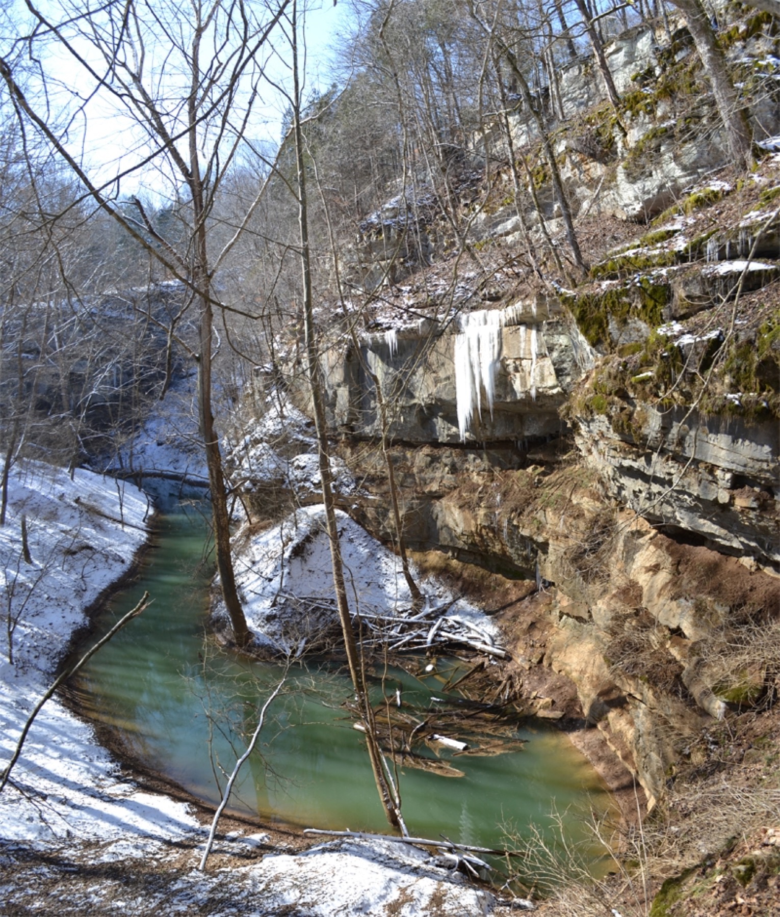 Cedar Sink stream in Mammoth Cave National Park