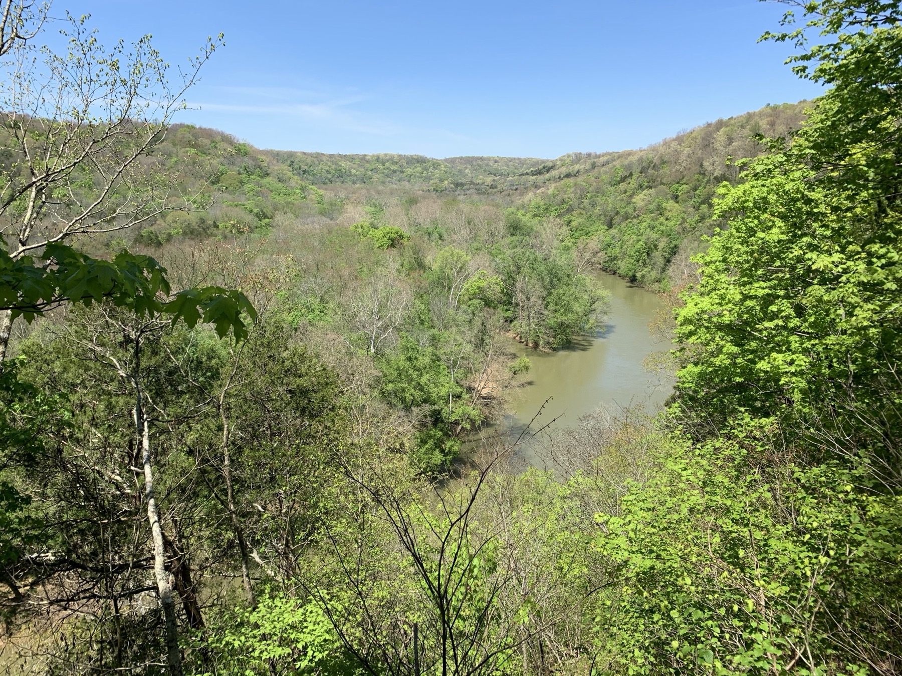 Green River Bluffs Overlook in spring