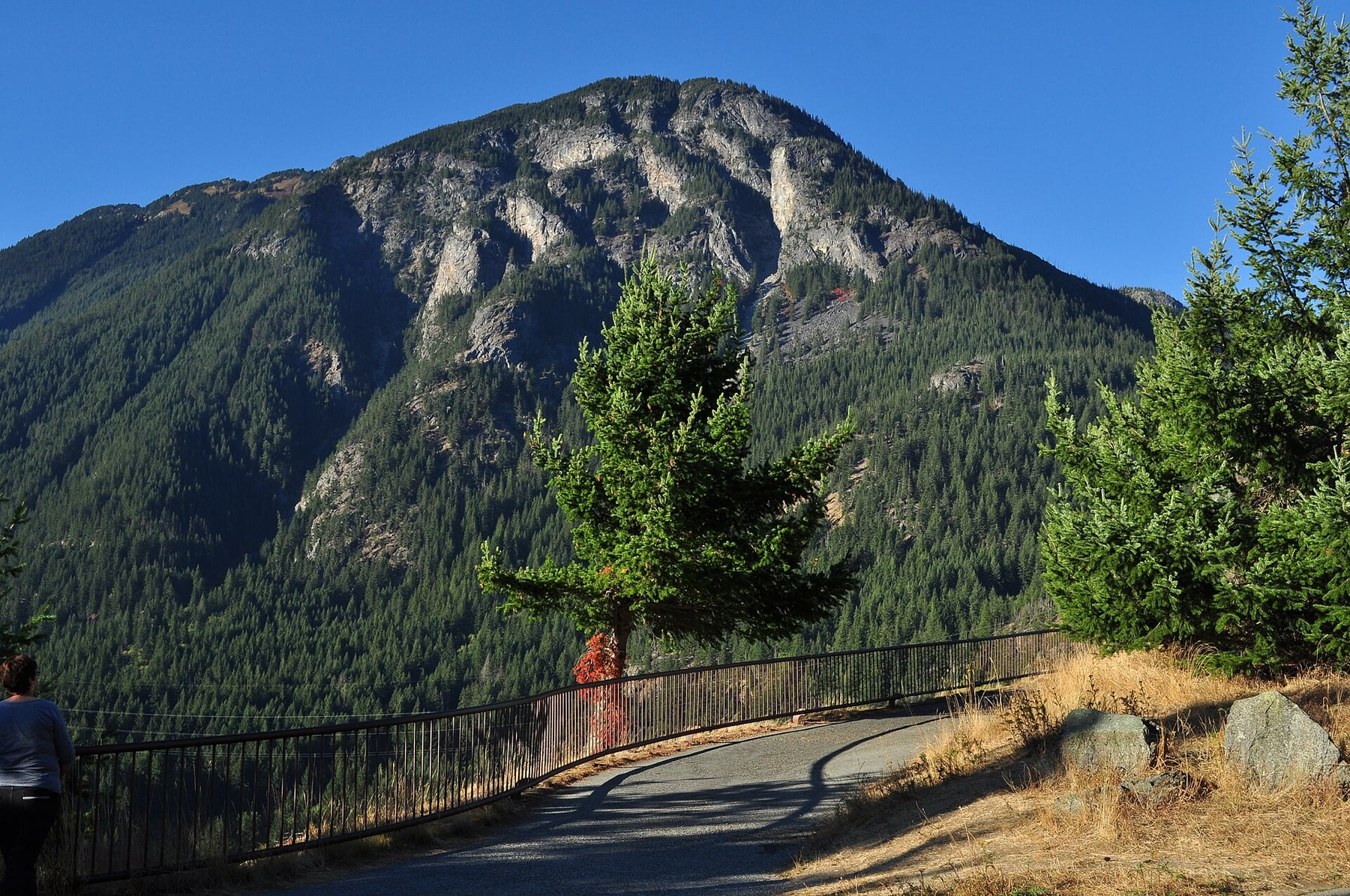 Turquoise Diablo Lake seen from the overlook