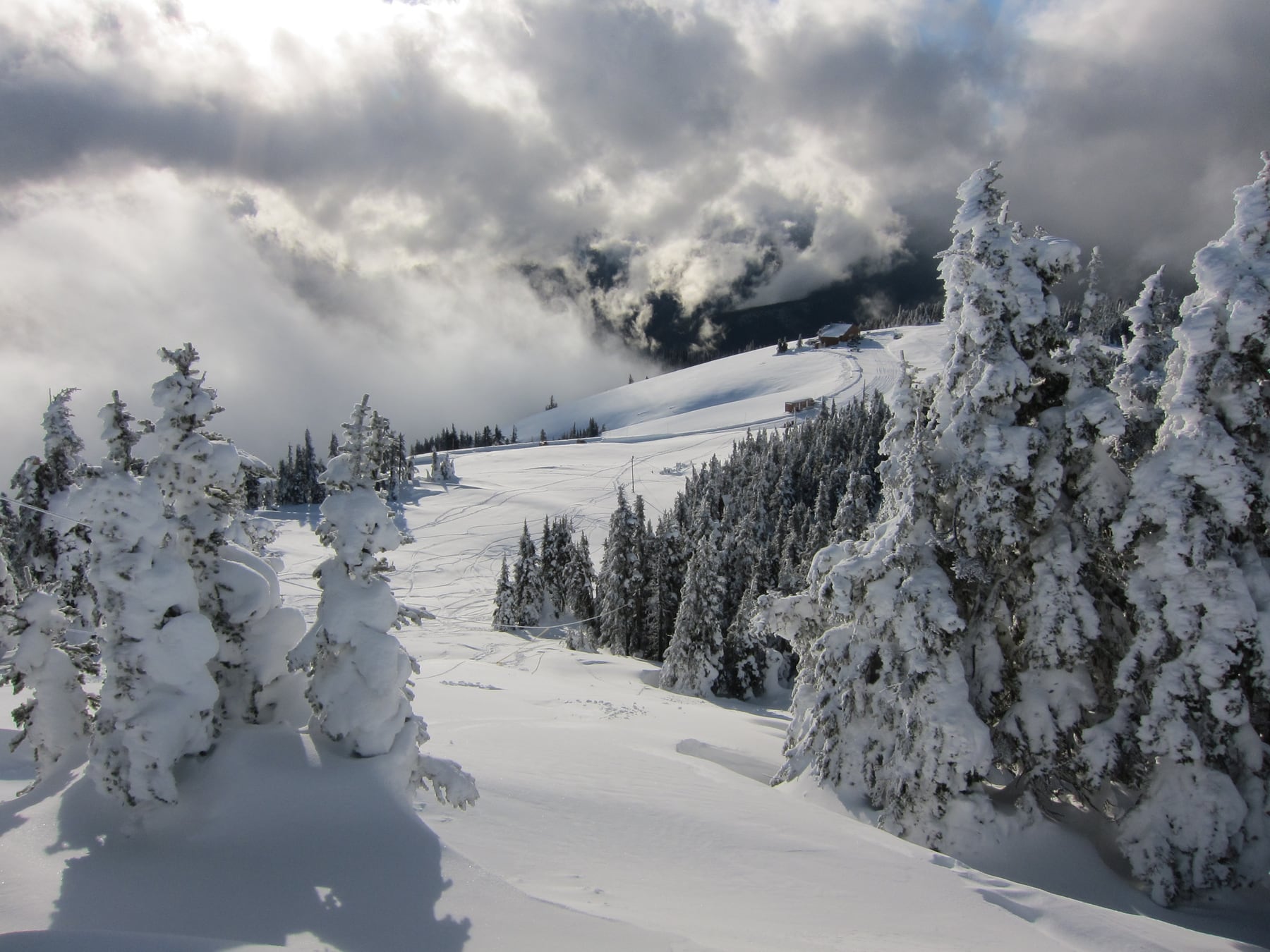 Fresh snow across the Olympic Mountains at Hurricane Ridge