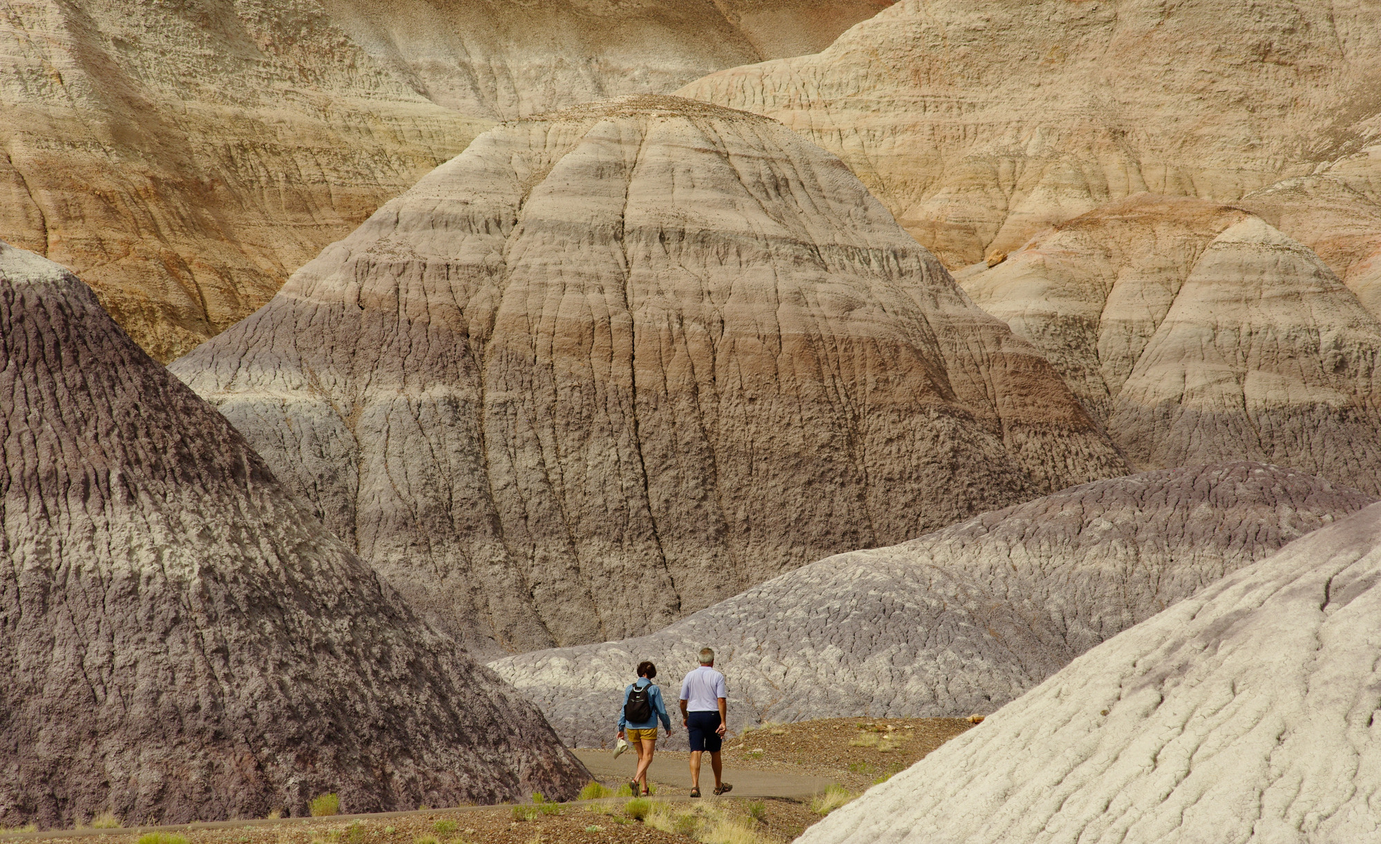 Blue Mesa Trail through badlands
