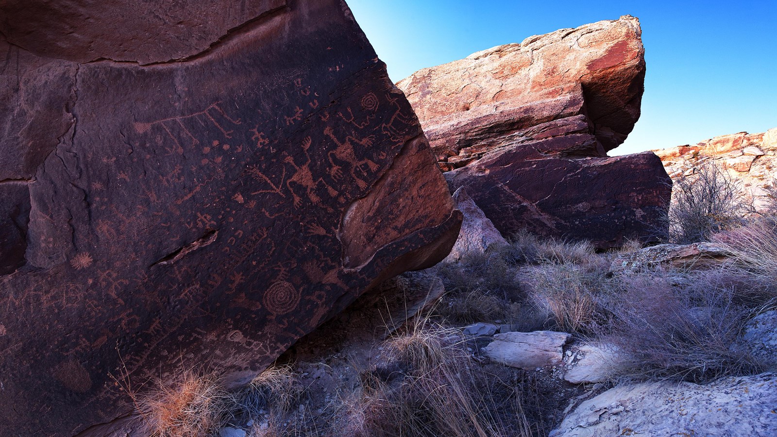 Petroglyph panels at Newspaper Rock