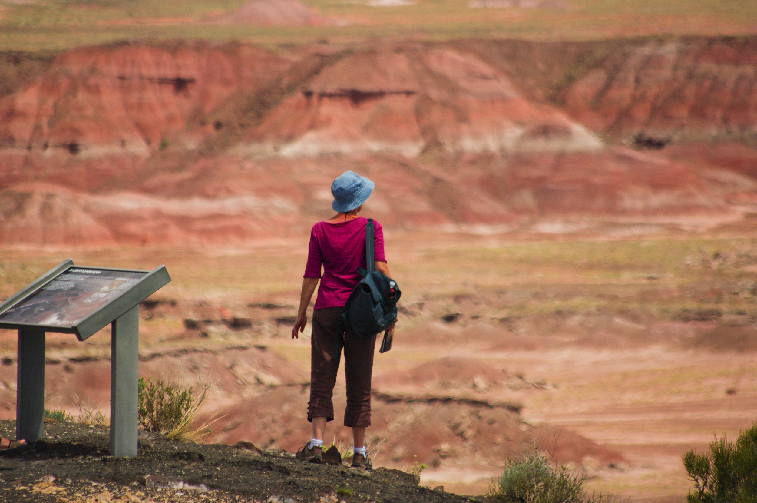 Painted Desert Rim Trail above colorful desert hills