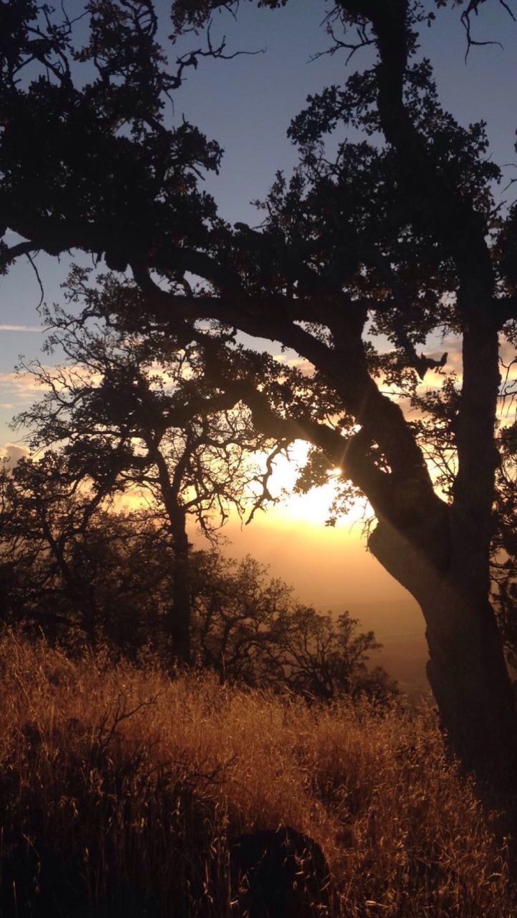 Sunset on the North Chalone Peak Trail