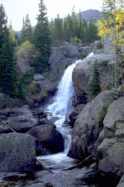 Alberta Falls pouring through a rocky forest chute