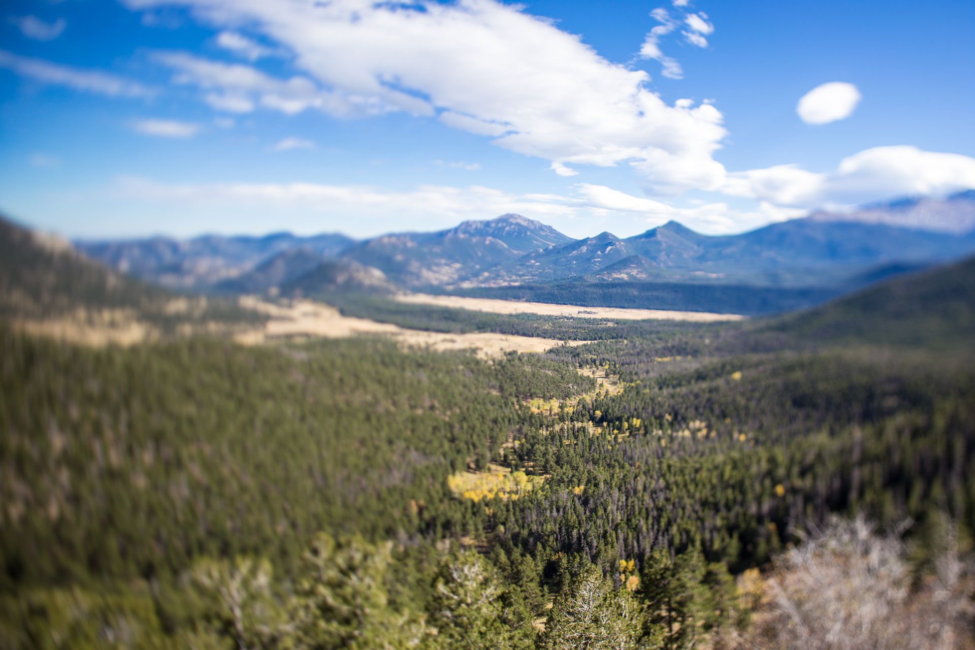 Longs Peak seen from Trail Ridge Road in autumn color