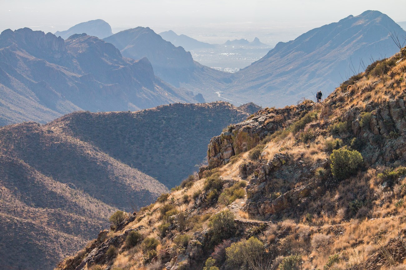 Wasson Peak above the Tucson Mountain District