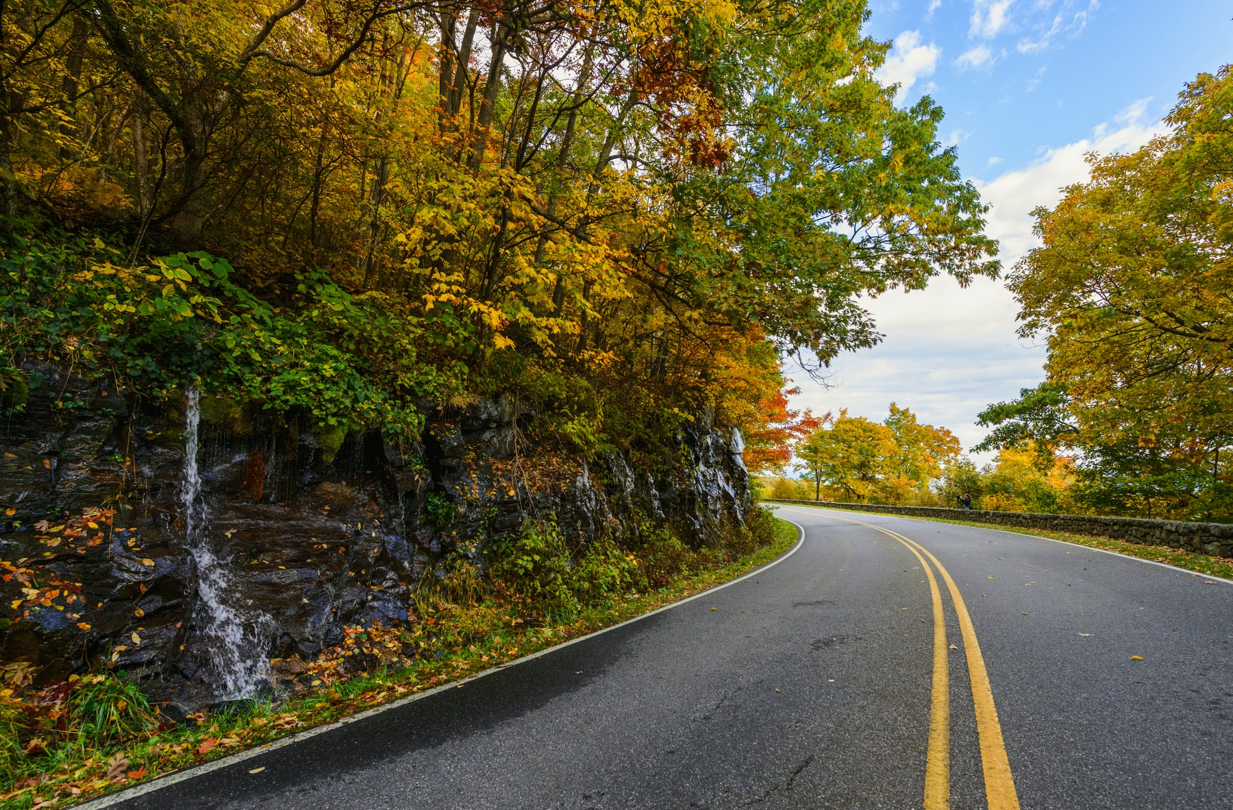 Skyline Drive curving through fall foliage in Shenandoah