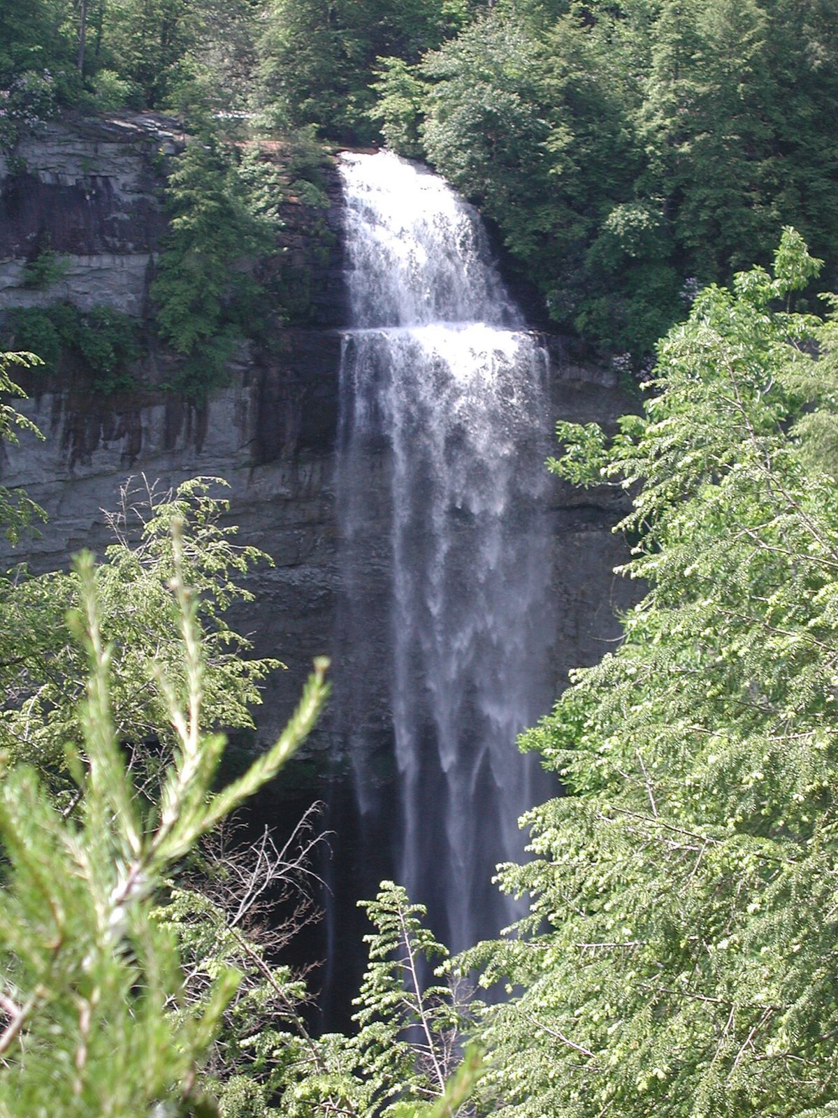 Fall Creek Falls plunging into its forested gorge at Fall Creek Falls State Park, Tennessee