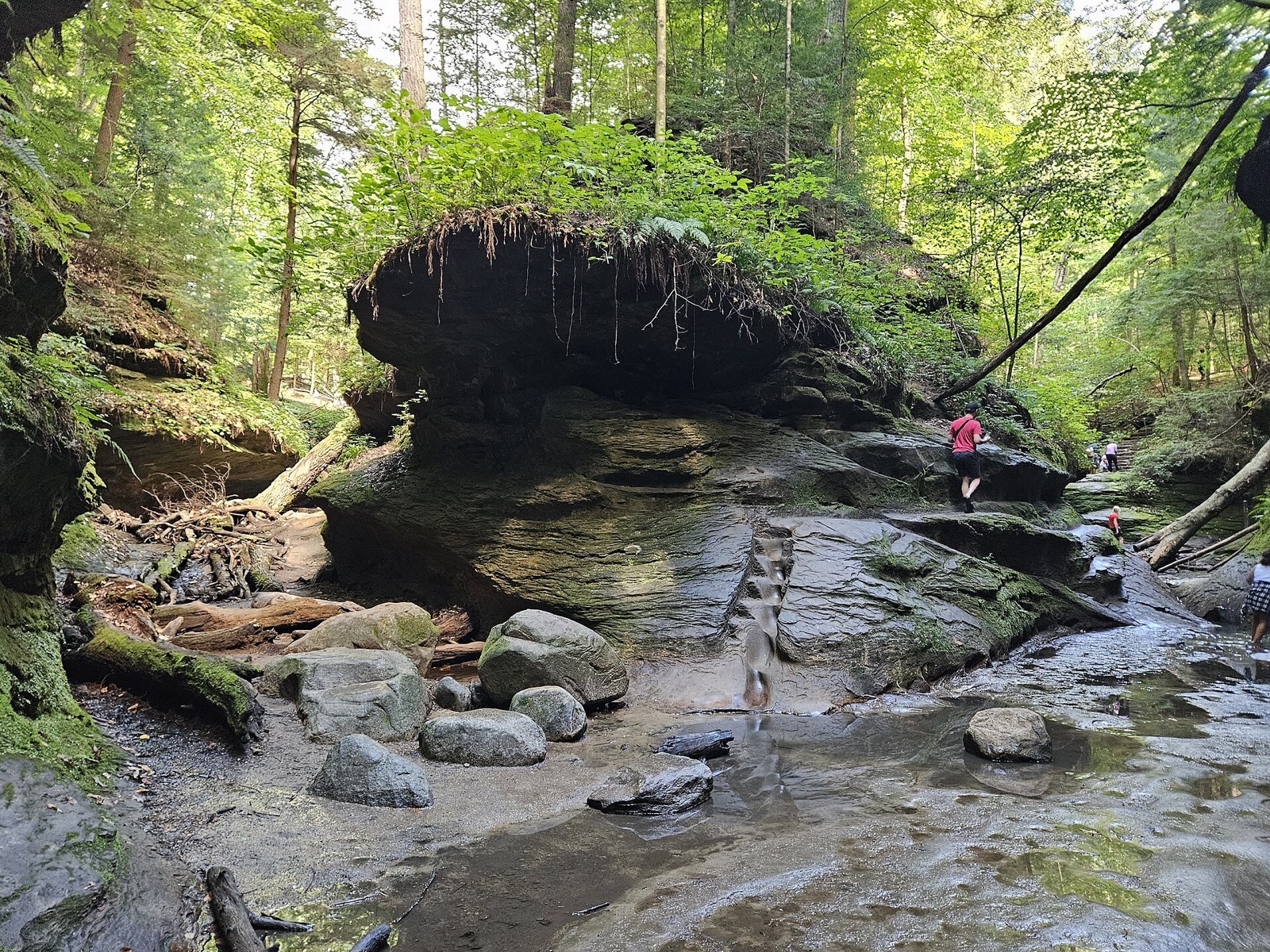 A hiker on the wet sandstone floor of Rocky Hollow at Turkey Run, water sliding over ledges beneath a fern-topped overhang