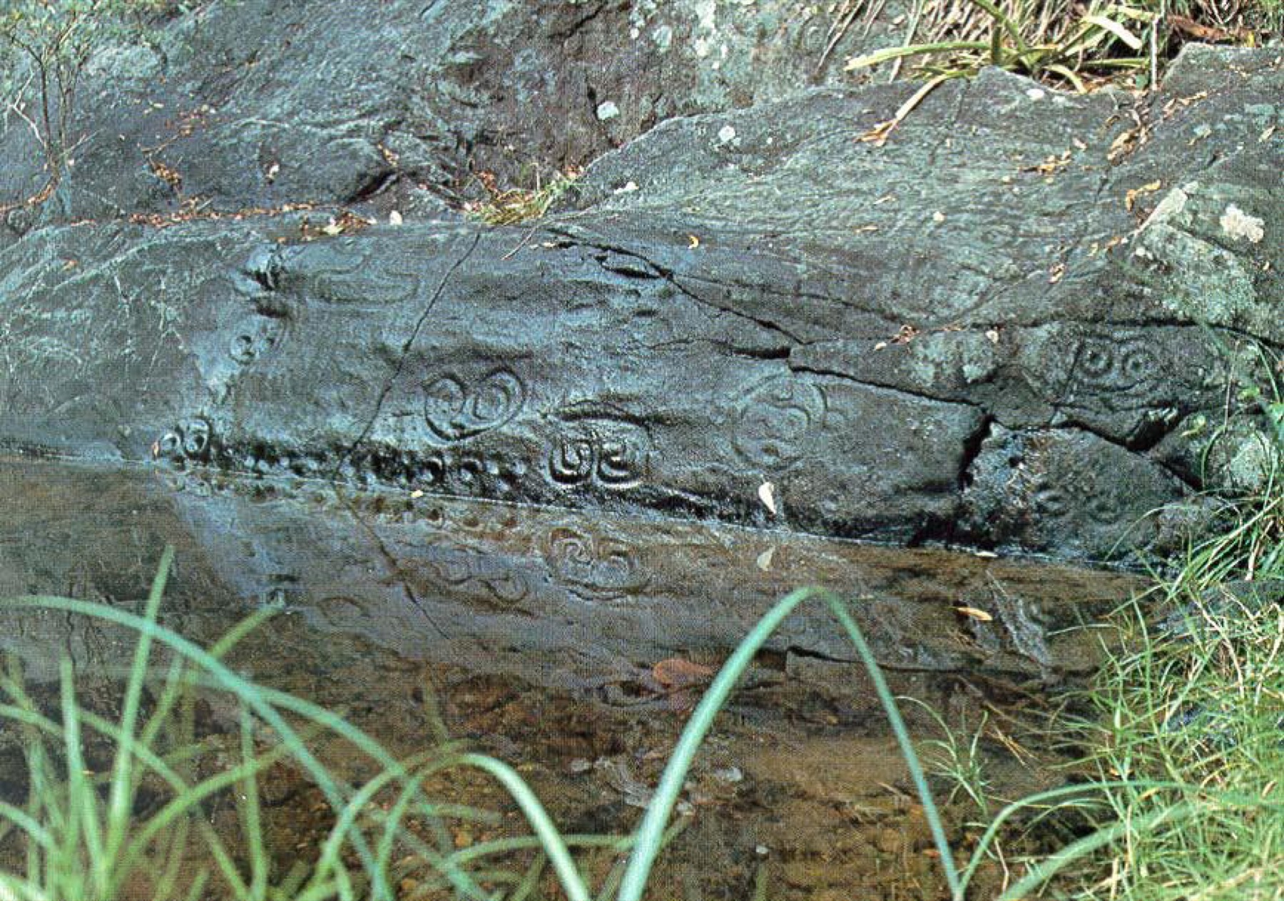 Taino petroglyphs along the Reef Bay Trail
