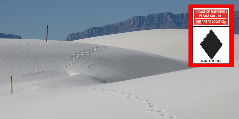 Tall gypsum dunes near the Alkali Flat route