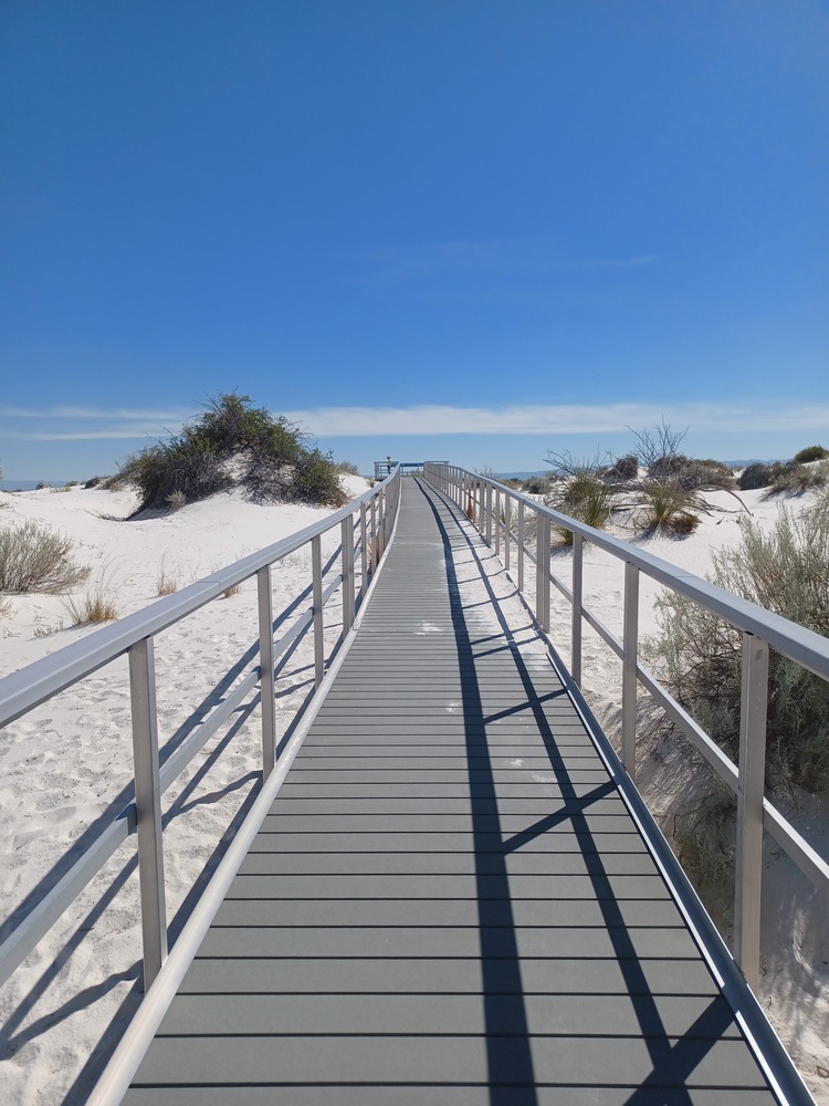 Interdune Boardwalk through plants and white sand