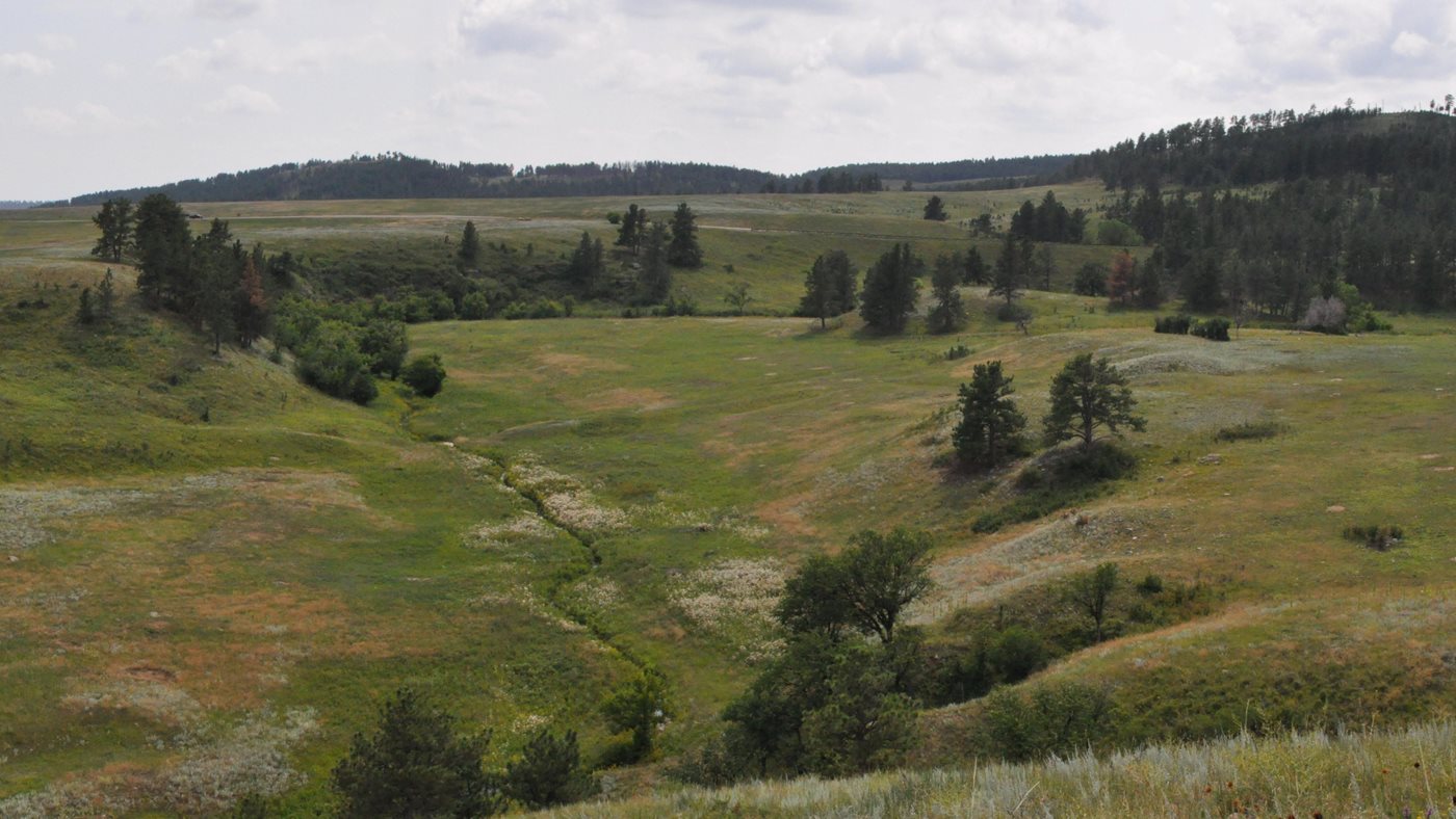 Forested hills merging into open prairie at Wind Cave