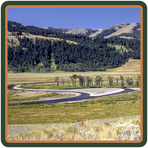 The Lamar River meandering through open Yellowstone grassland