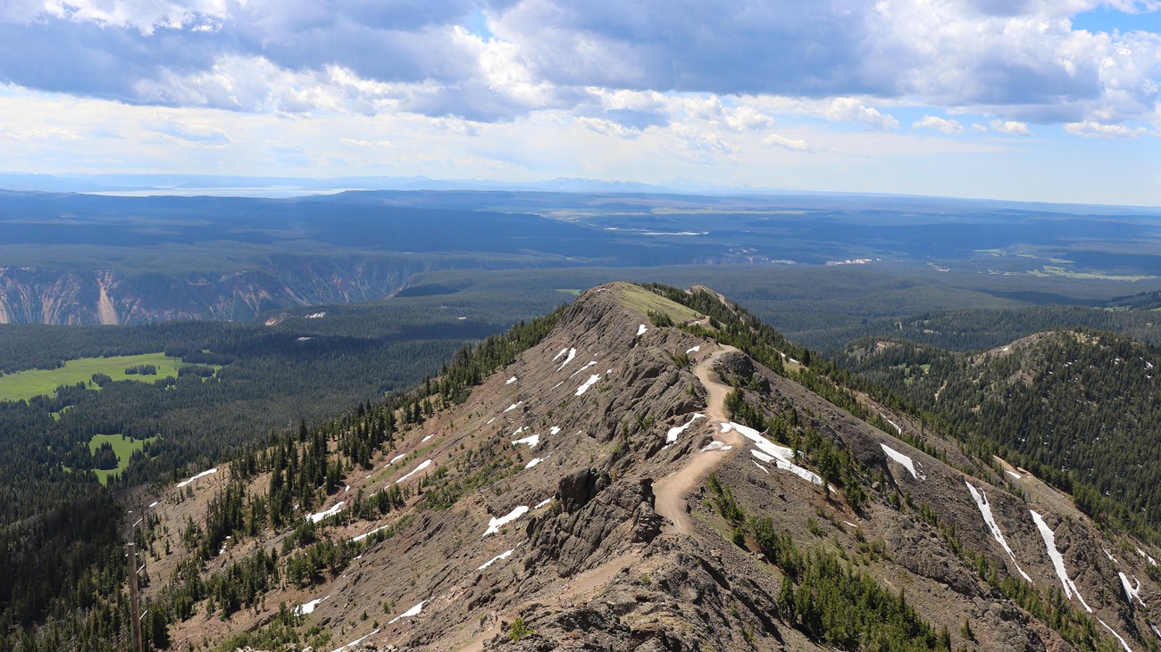 Mount Washburn Trail climbing a ridgeline above forest