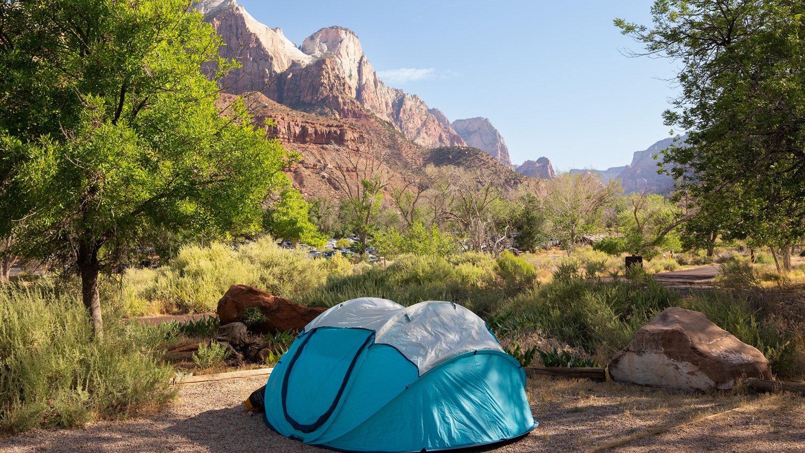 Watchman Campground with Zion's sandstone cliffs in the background