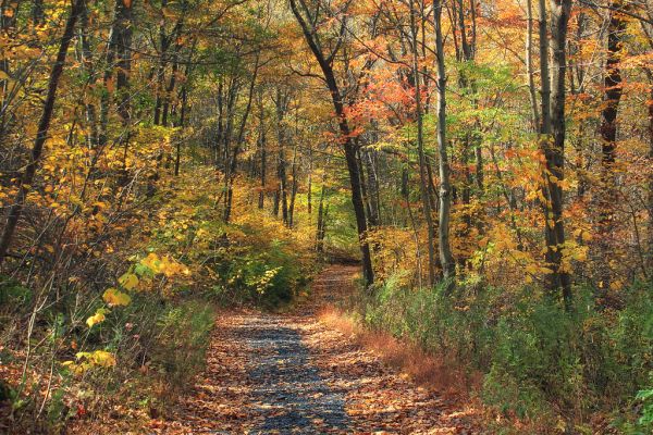 Appalachian Trail