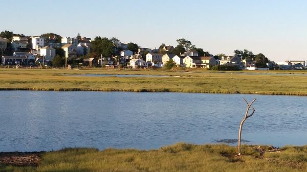 Belle Isle Marsh