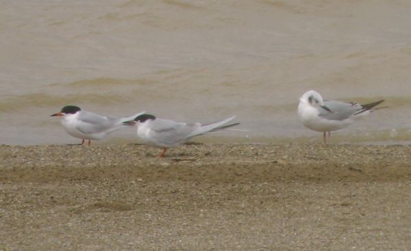 Deer Creek State Park