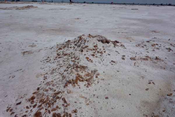 Salt Plains State Park
