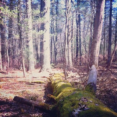 Cumberland Trail State Park