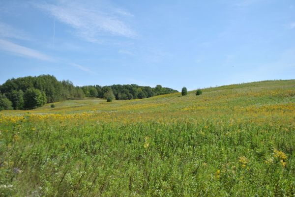 Chippewa Moraine State Recreation Area